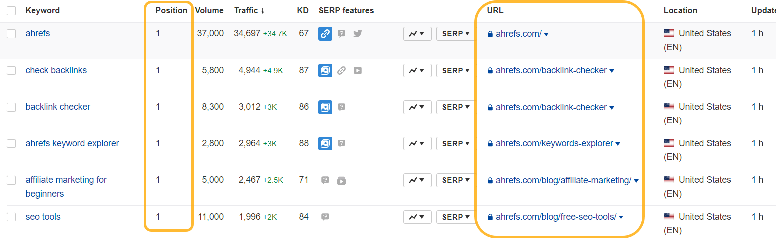 Ahrefs' Rank Tracker displaying ranking data, such as position and URL, for tracked keywords